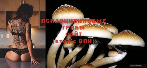 spice Заволжье