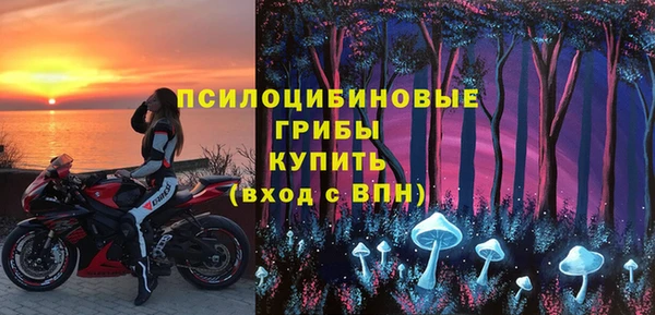 гидра Заволжск