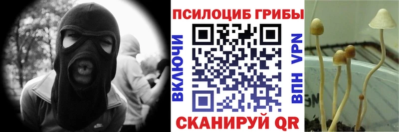 Купить  Томск  Псилоцибиновые грибы ЛСД 